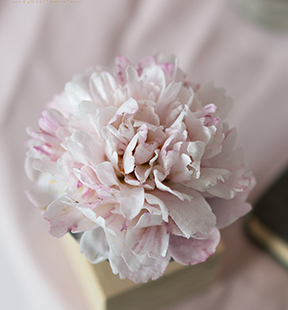 烘焙培訓(xùn)學(xué)校